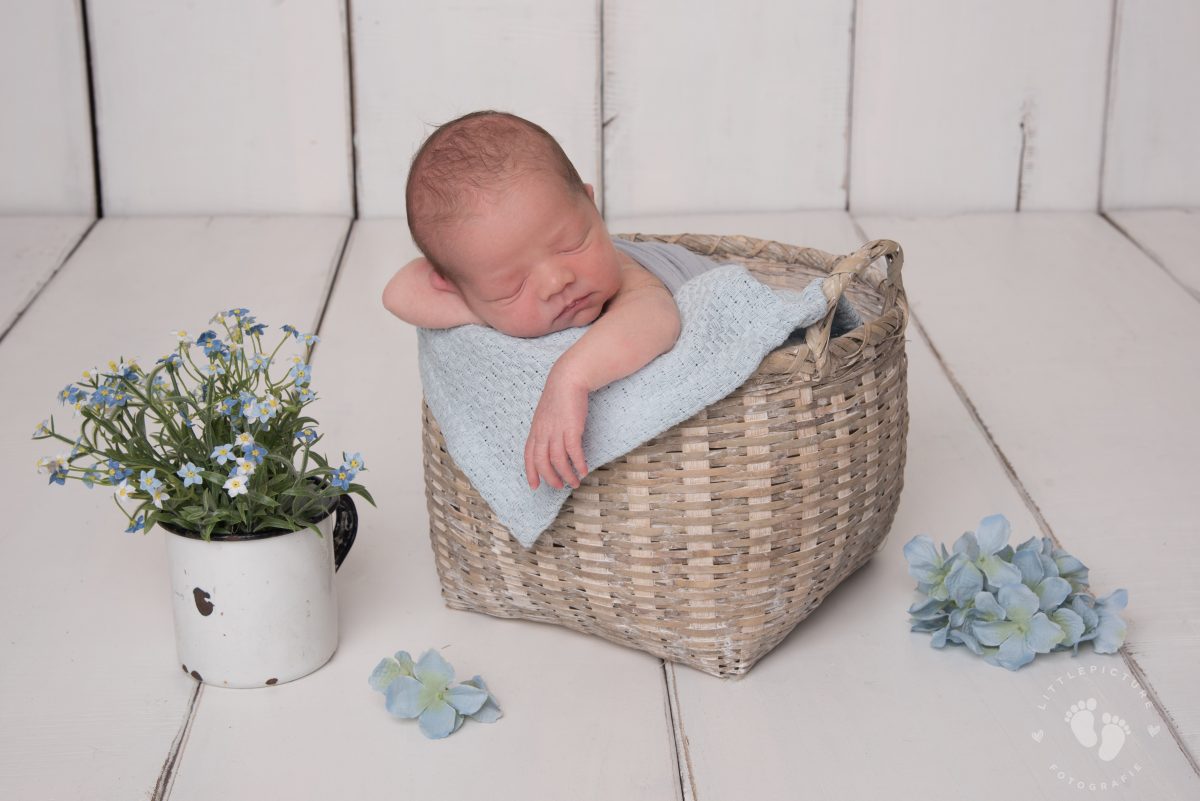 BabyFoto3 Baby Fotografin