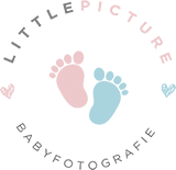 LittlePicture Logo