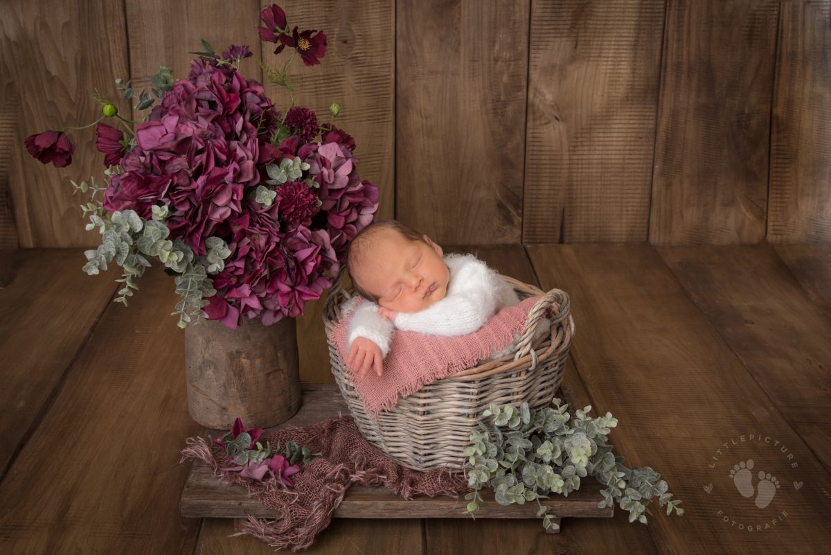 newbornbabyfoto Babyfotos